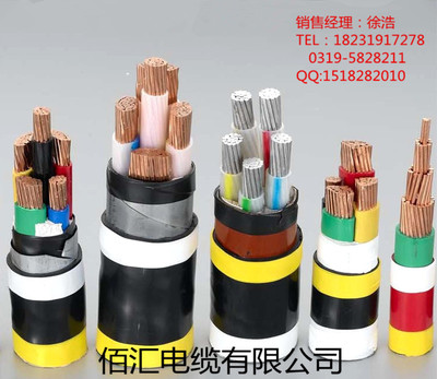 ZR-F46(FV)-2*25 氟塑料绝缘阻燃电力电缆 性能、应用与佰汇电缆专业解析